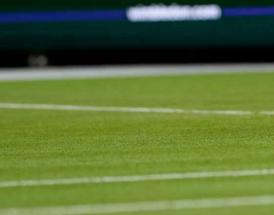 Apuestas de tenis en hierba 