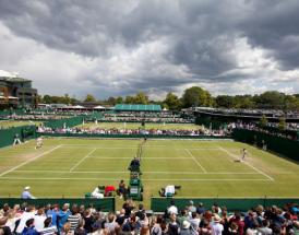 Quien ganara Wimbledon