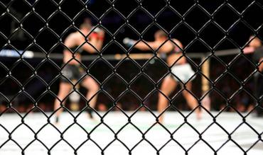 Luchadoras UFC